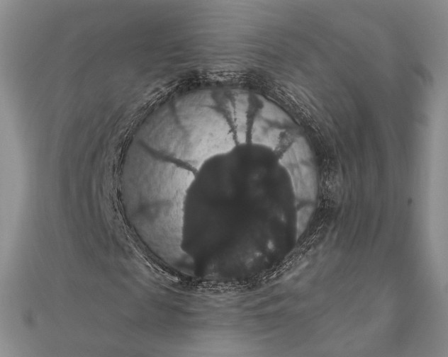 X0000111910817200908101158