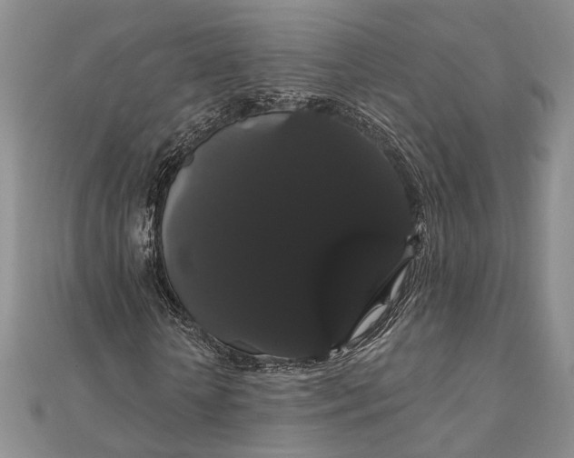 X0000111910818200908101158