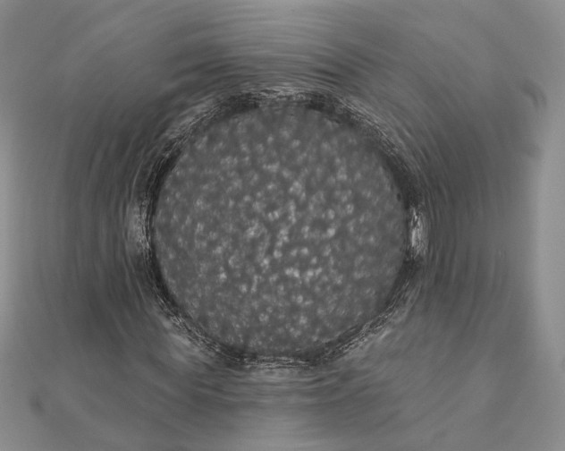 X0000111910819200908101158