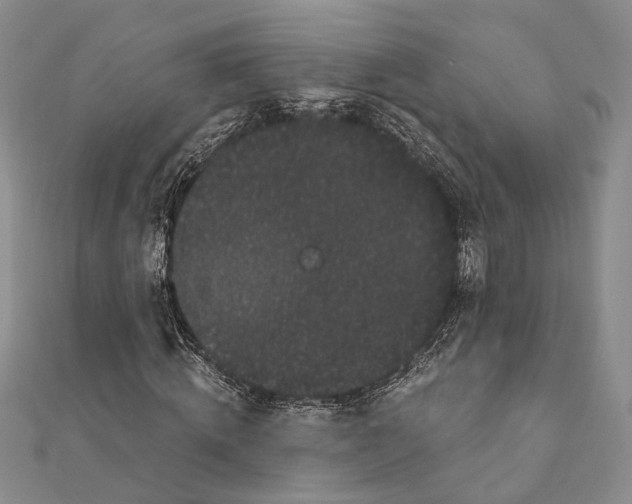 X0000111910820200908101158