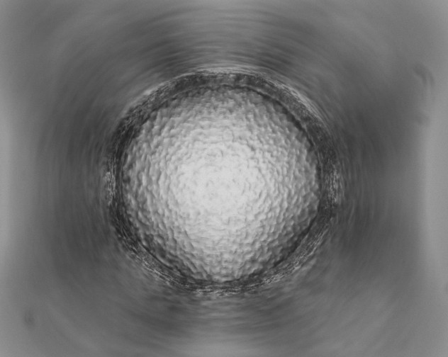 X0000111910821200908101158