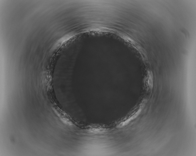 X0000111910822200908101159