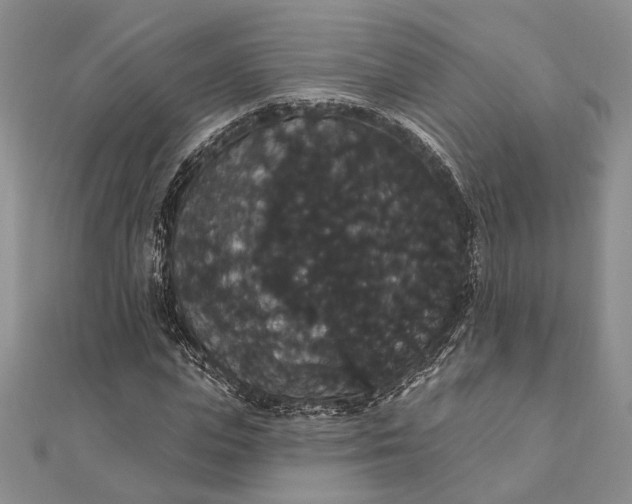 X0000111910823200908101159