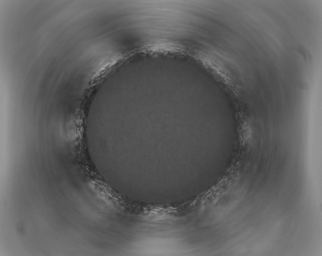 X0000111910824200908101159