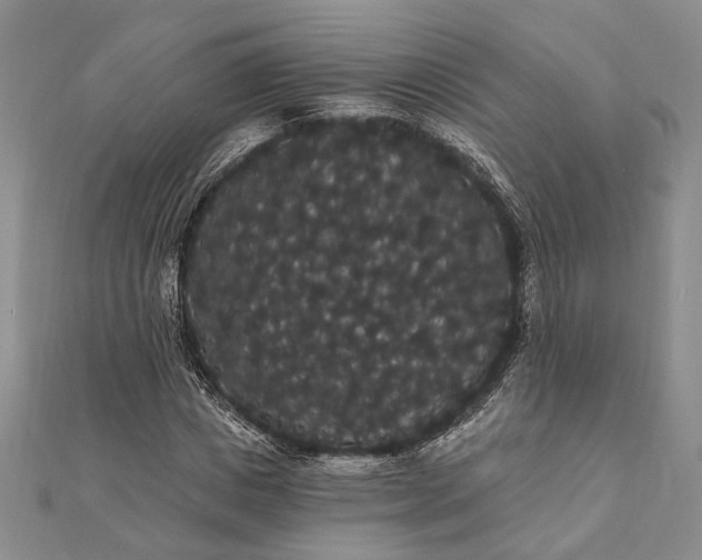 X0000111910825200908101159