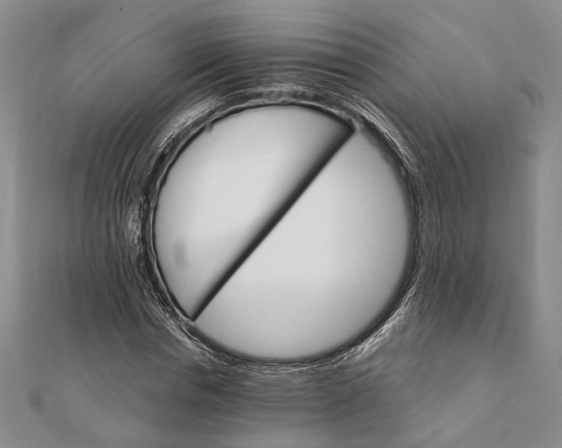 X0000111910826200908101159