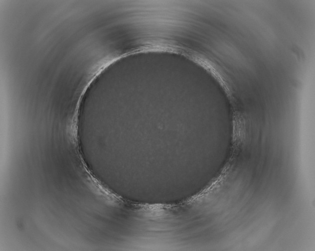 X0000111910828200908101159