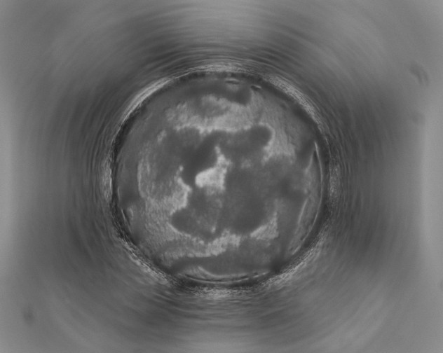 X0000111910829200908101159