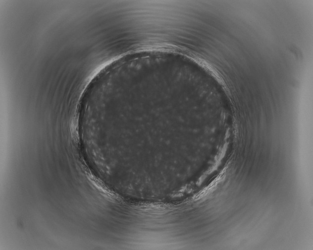 X0000111910830200908101159