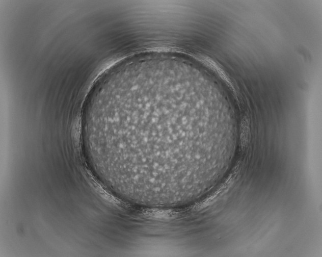 X0000111910831200908101159