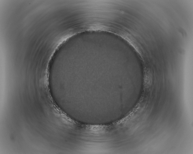 X0000111910832200908101159