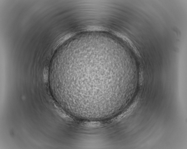 X0000111910833200908101159