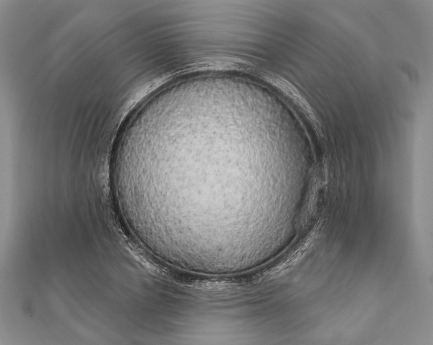 X0000111910834200908101159