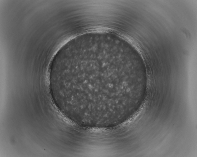 X0000111910835200908101159