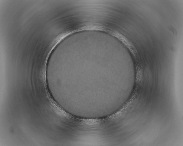 X0000111910836200908101159