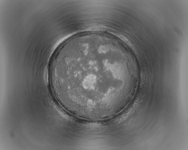 X0000111910838200908101159