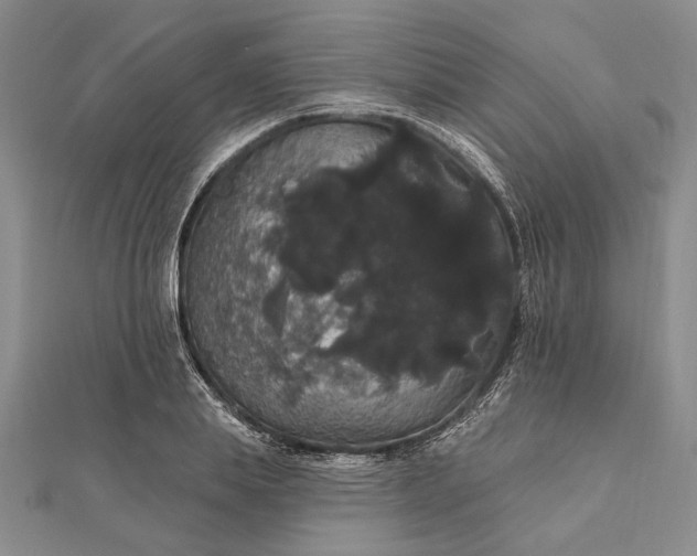 X0000111910839200908101159