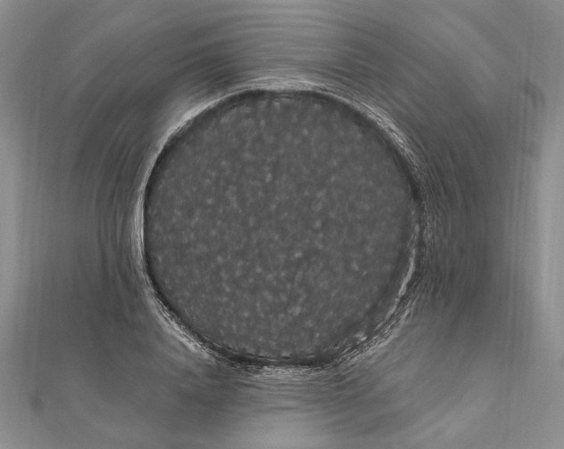 X0000111910840200908101159