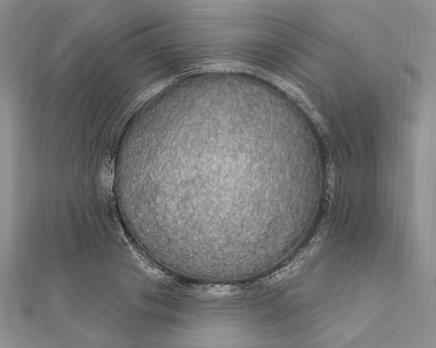 X0000111910841200908101159