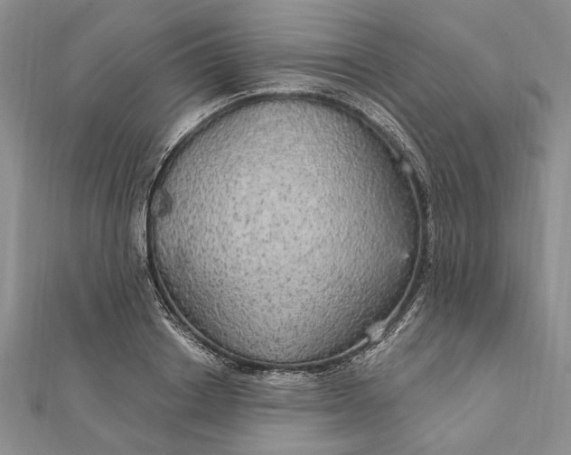 X0000111910842200908101159