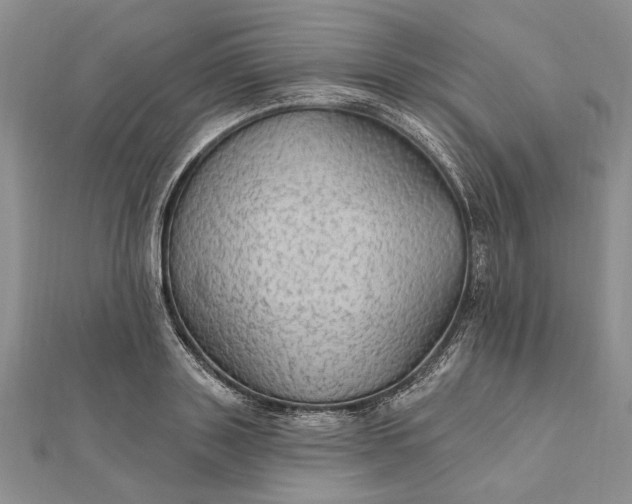 X0000111910843200908101159