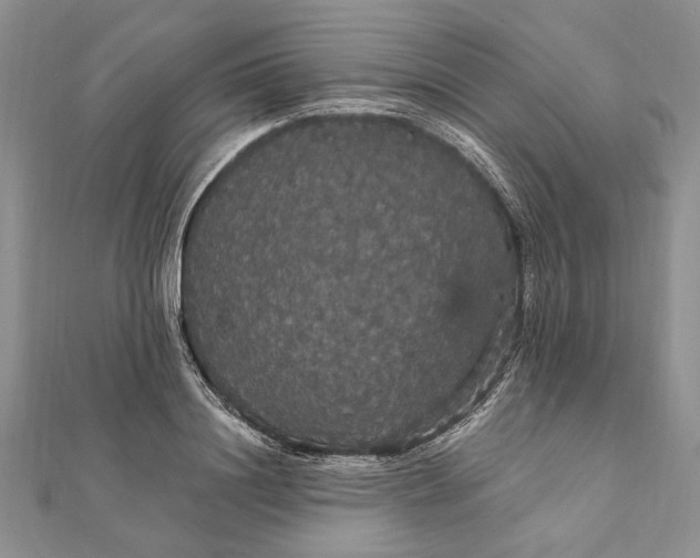 X0000111910844200908101159