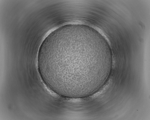 X0000111910845200908101159