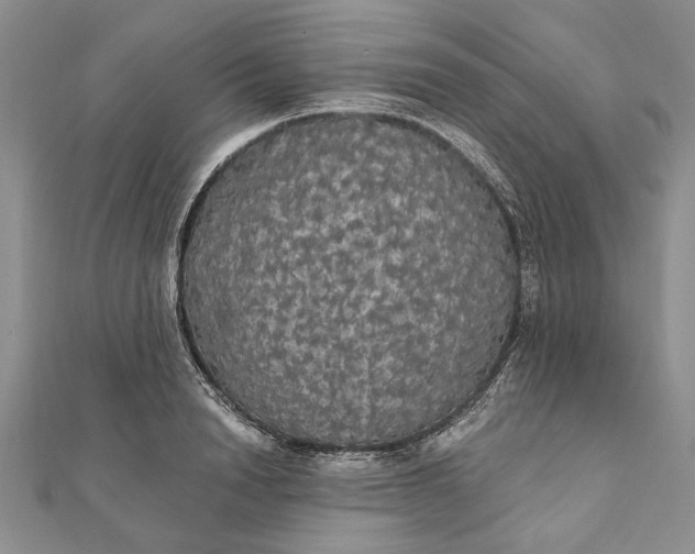 X0000111910846200908101159