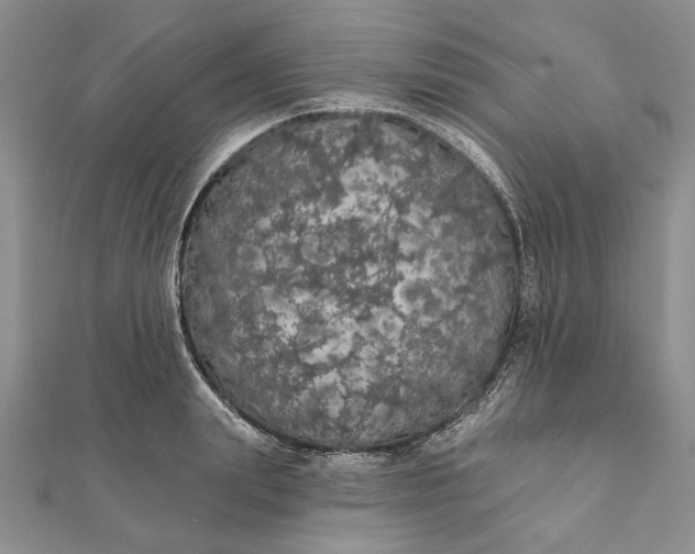 X0000111910847200908101159