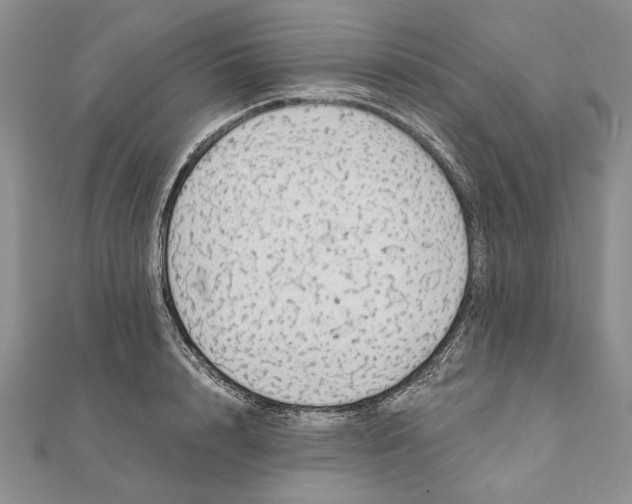 X0000111910848200908101159