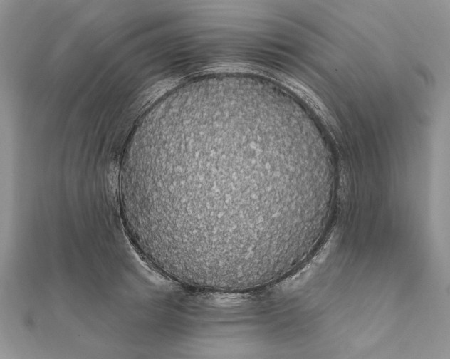 X0000111910849200908101159