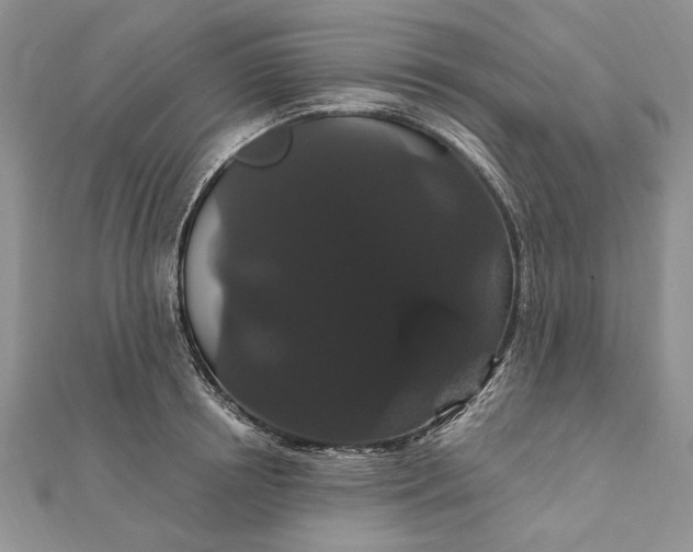 X0000111910850200908101159