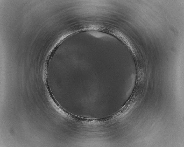 X0000111910851200908101159