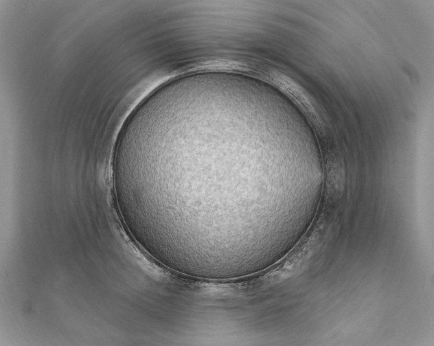 X0000111910852200908101159