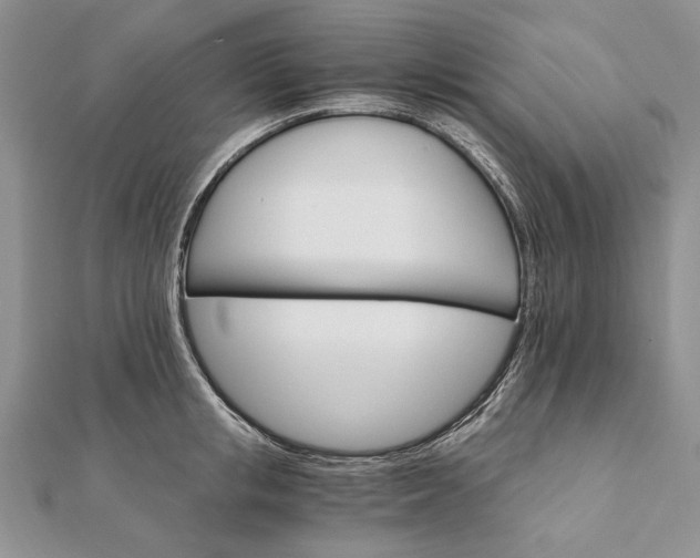 X0000111910853200908101159