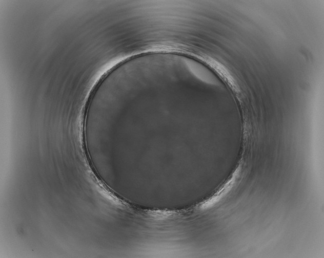 X0000111910854200908101159