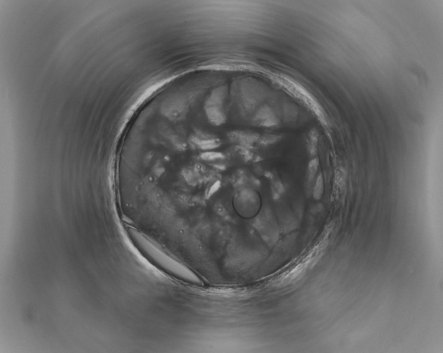 X0000111910855200908101159