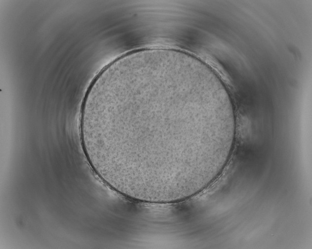 X0000111910856200908101159