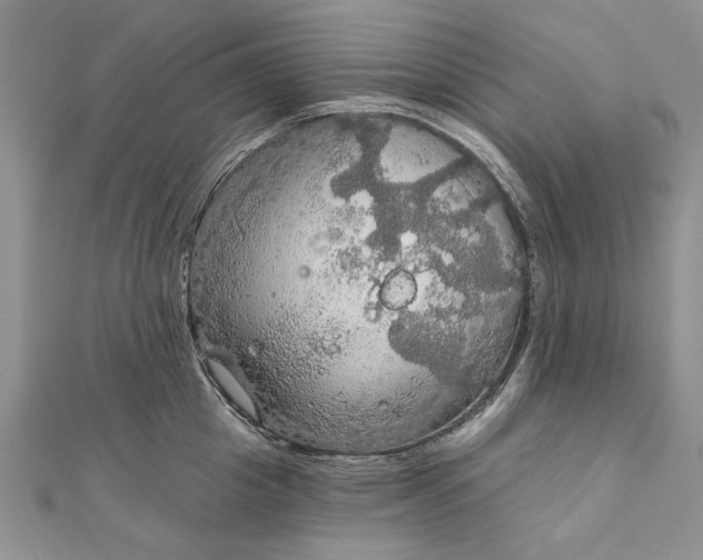 X0000111910857200908101159