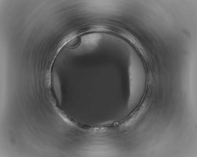 X0000111910858200908101159