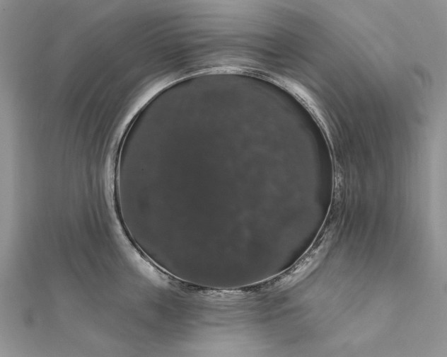 X0000111910859200908101159