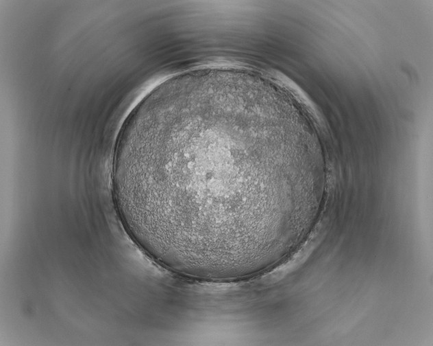 X0000111910860200908101159