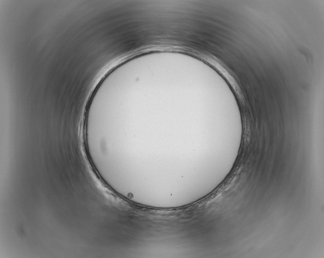 X0000111910861200908101159