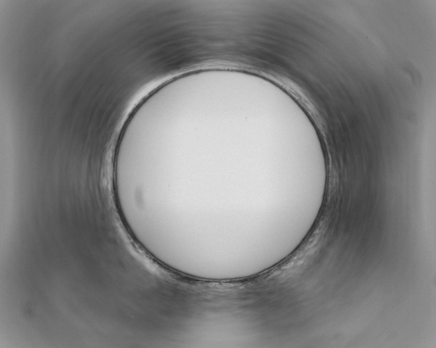 X0000111910862200908101159