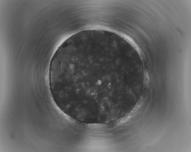 X0000111910863200908101159