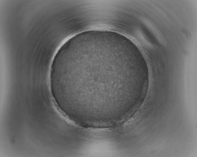 X0000111910864200908101159