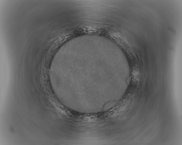 X0000111910865200908101158