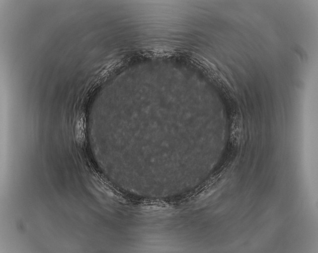 X0000111910866200908101158