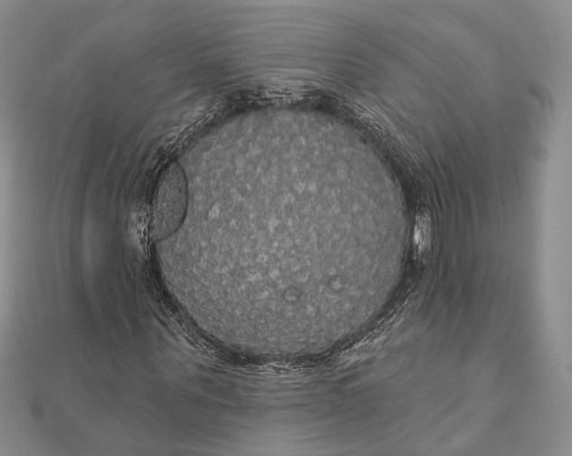 X0000111910867200908101158