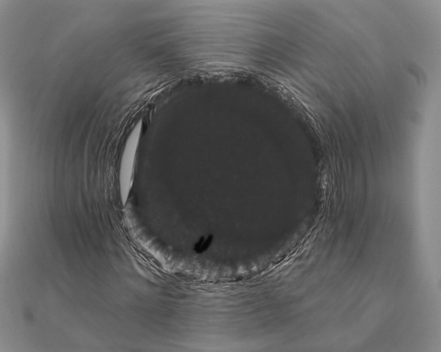 X0000111910868200908101158